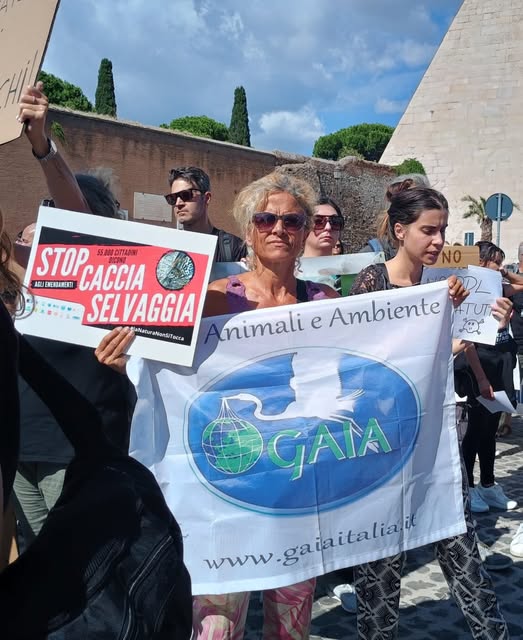 corteo roma 548509167_1087852196855088_5080999243451524325_n - copia